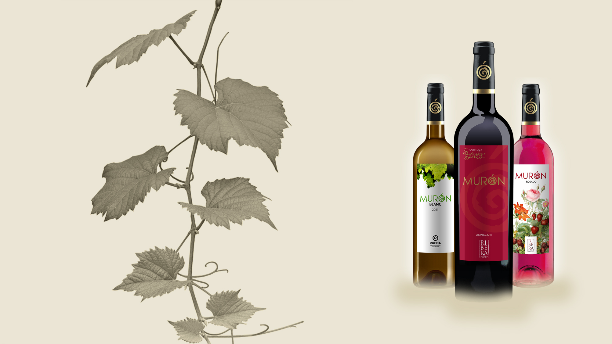 Vinos de la Bodega Severino Sanz en la Ribera del Duero